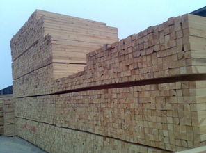 建筑材料銷售行業的領航者 一呼百應公司頻道的崛起與價值